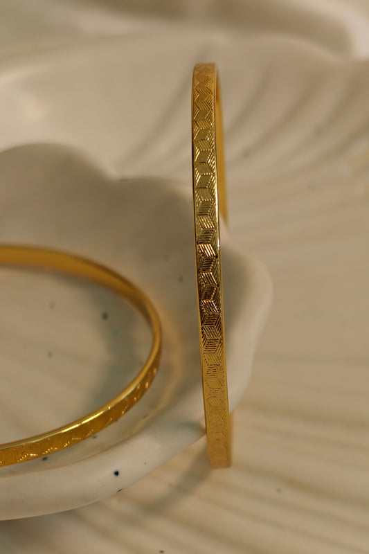 Ritvi Bangles (Pair)